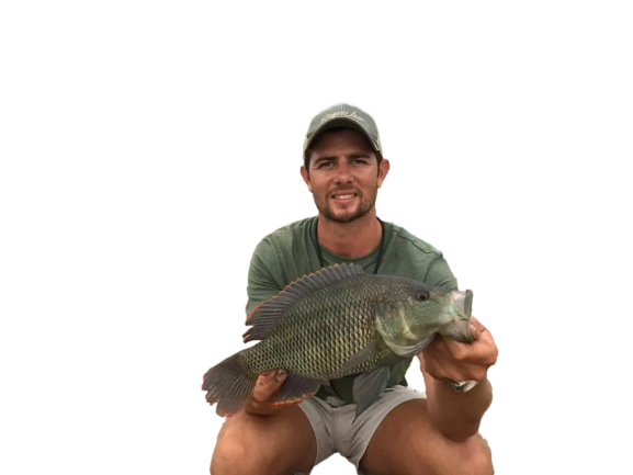 Bream in Kariba