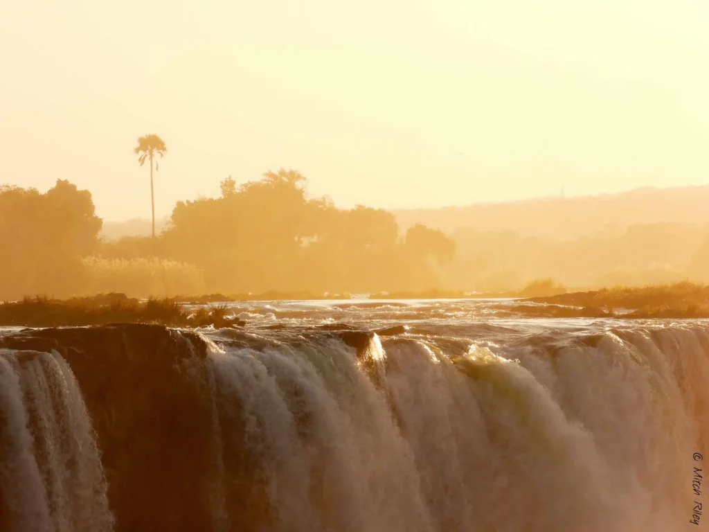 Vic Falls in gold light